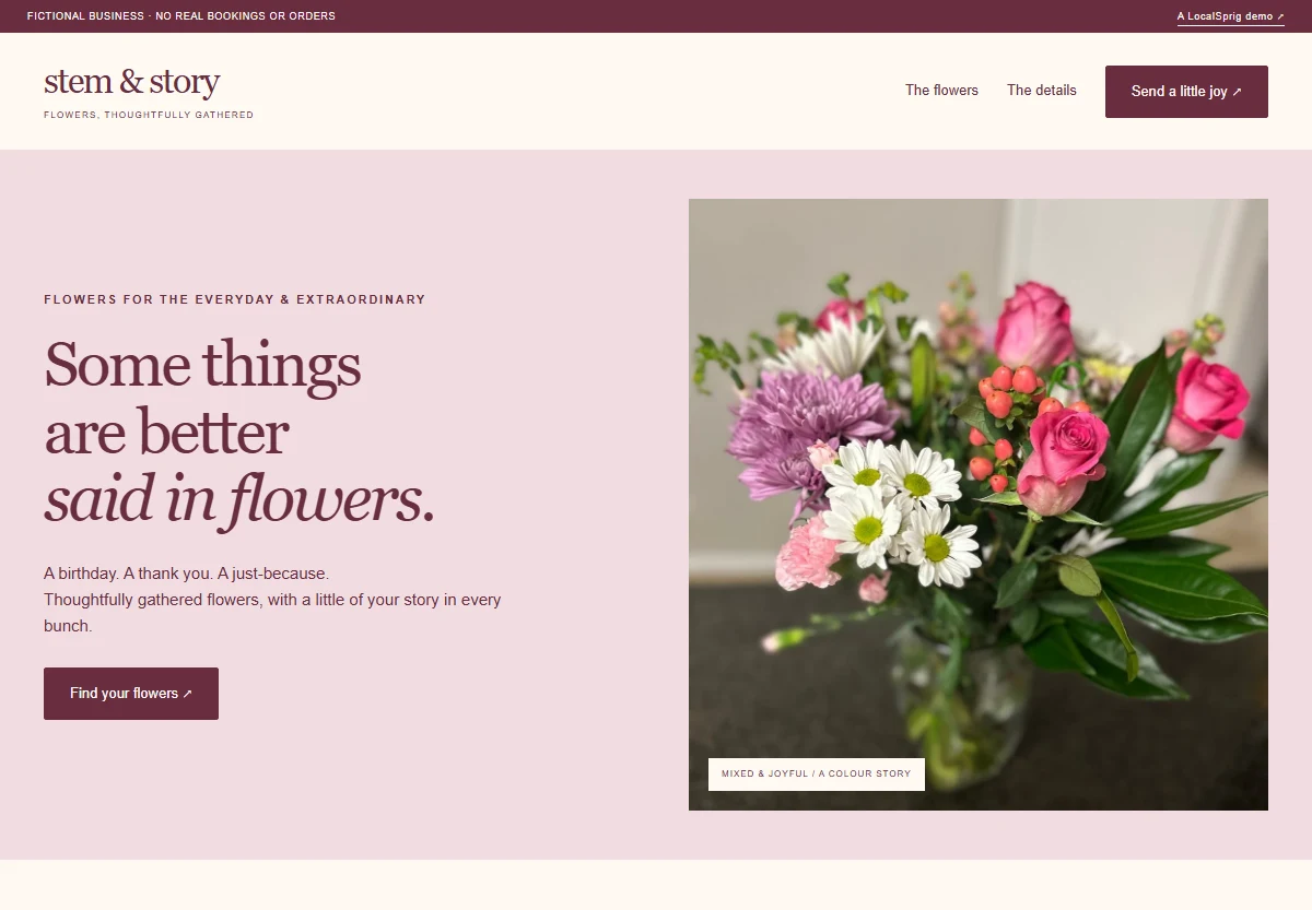 Stem & Story website preview