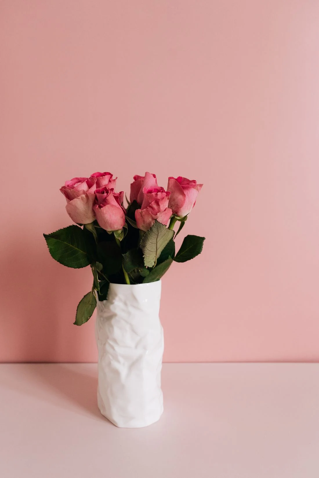 Pink roses in a white textured vase against a pink background